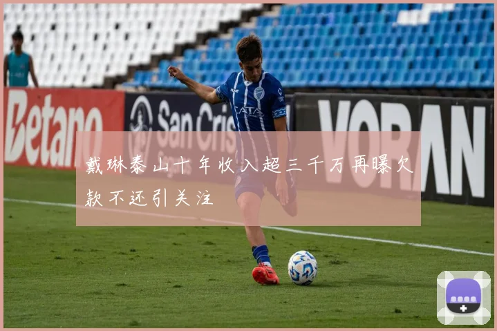 戴琳泰山十年收入超三千万再曝欠款不还引关注