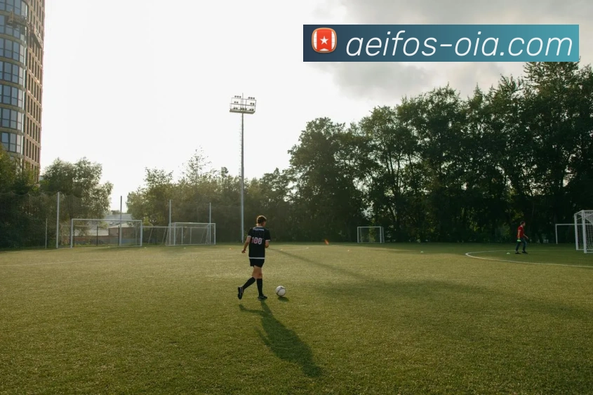 马博官方在线入口平台生态图